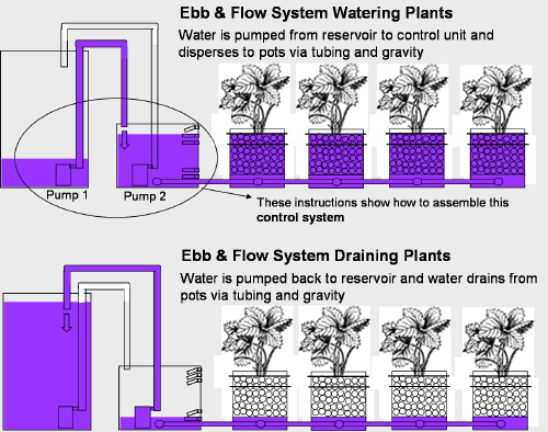 Ebb And Flow Hydroponic System Timing Stun Binnacle Photo Galery