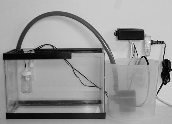 Build Your Own Aquarium Auto Top-Off System